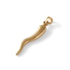 Thumbnail Image 1 of Large Italian Horn Charm in 10K Gold