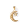 Thumbnail Image 0 of Moon and Star Necklace Charm in 10K Solid Gold