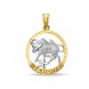 Thumbnail Image 0 of Small Zodiac Taurus Charm in 10K Two-Tone Gold