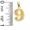 Thumbnail Image 1 of Number "9" Charm in 10K Gold