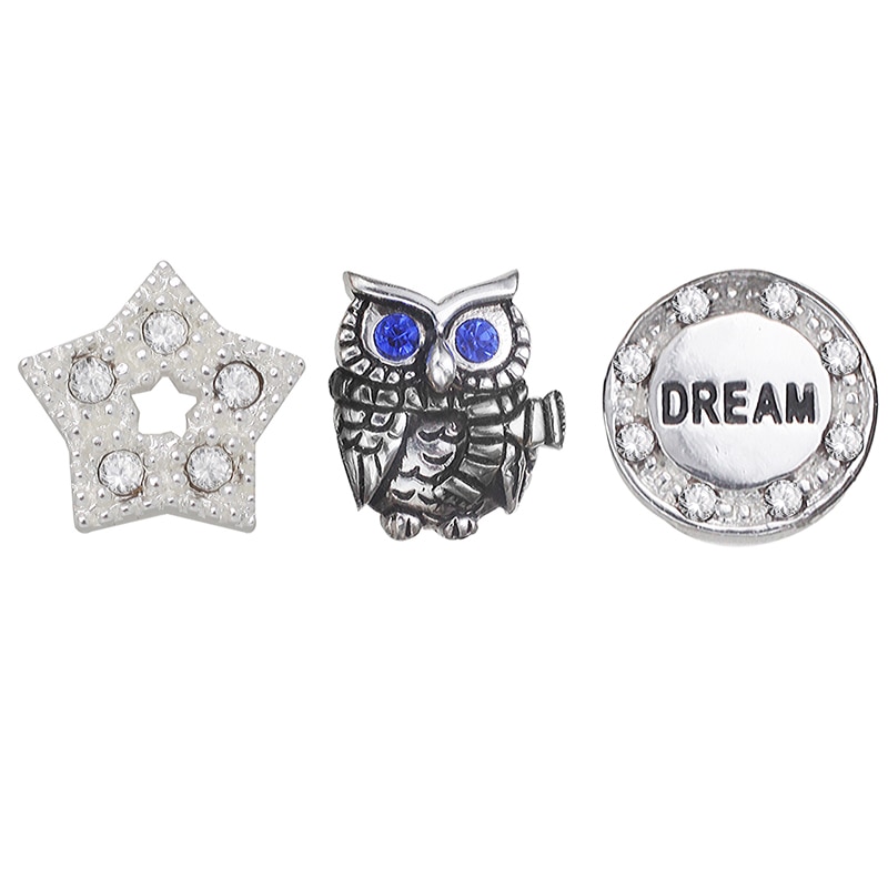 Floating Lockets Crystal Star, Owl and "DREAM" Charms in White Brass
