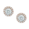 Thumbnail Image 0 of 6mm Cubic Zirconia Frame Stud Earrings in Sterling Silver and 18K Rose Gold Plate