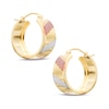 Thumbnail Image 0 of Hoop Earrings in 10K Tri-Tone Gold