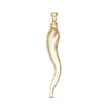 Thumbnail Image 0 of Large Italian Horn Necklace Charm in 10K Gold
