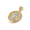 Thumbnail Image 1 of Saint Christopher Medallion Necklace Charm in 10K Two-Tone Gold