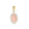 Thumbnail Image 0 of Child's Our Lady of Guadalupe Necklace Charm in 10K Tri-Tone Gold