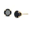 Thumbnail Image 0 of 5mm Black Cubic Zirconia Solitaire Stud Piercing Earrings in 14K Solid Gold