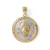 Thumbnail Image 0 of Multi-Finish Lions Head Medallion Necklace Charm in 10K Solid Two-Tone Gold