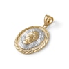Thumbnail Image 1 of Multi-Finish Lions Head Medallion Necklace Charm in 10K Solid Two-Tone Gold
