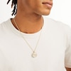 Thumbnail Image 1 of Lion Head Curb Chain Frame Medallion Two-Tone Necklace Charm in 10K Solid Gold