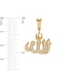 Thumbnail Image 1 of Cubic Zirconia Allah Symbol Necklace Charm in 10K Gold