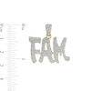 Thumbnail Image 1 of 1/5 CT. T.W. Diamond "FAM" Necklace Charm in Sterling Silver with 14K Gold Plate
